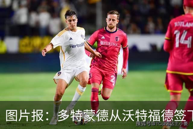 图片报：多特蒙德从沃特福德签下了一位草坪管理专家